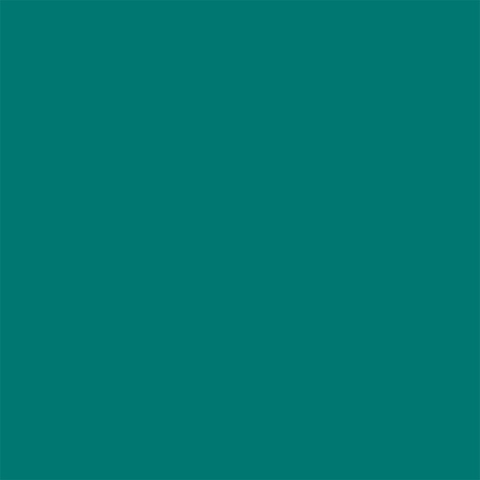 Superior Paper | Backdrop Paper Spruce 2.75m