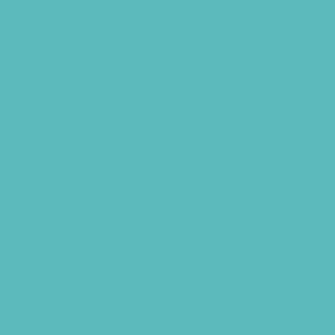 Superior Paper | Backdrop Paper Alpine 2.75m