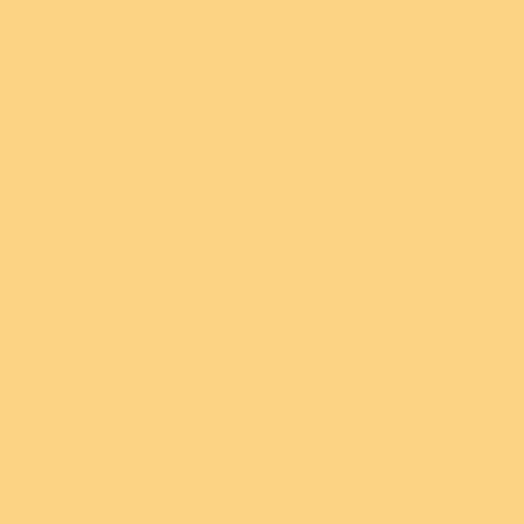 Superior Paper | Backdrop Buff 2.75m
