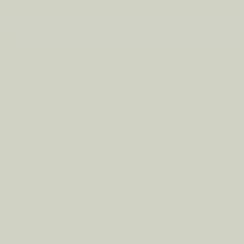 Superior Paper | Backdrop Paper Dull Alumin 2.75m