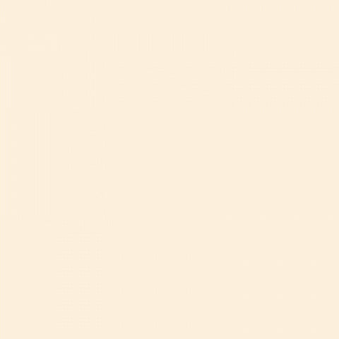 Superior Paper | Backdrop Paper Fawn 2.75m