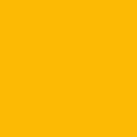 Superior Paper | Backdrop Paper Forsythia 2.75m