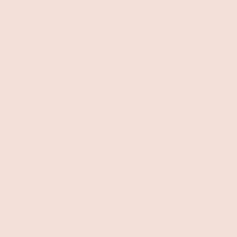 Superior Paper | Backdrop Paper Ivorine 2.75m