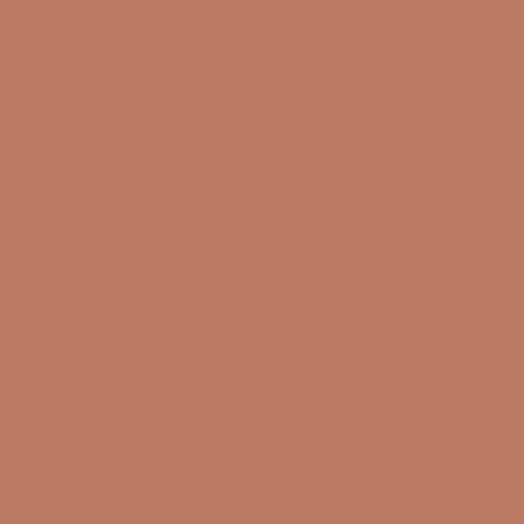 Superior Paper | Backdrop Paper Nutmeg 2.75m