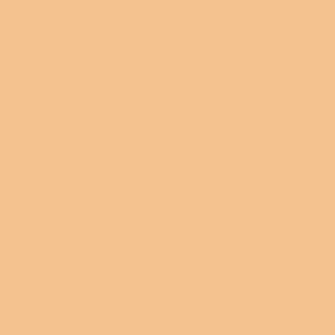 Superior Paper | Backdrop Paper Pongee 2.75m
