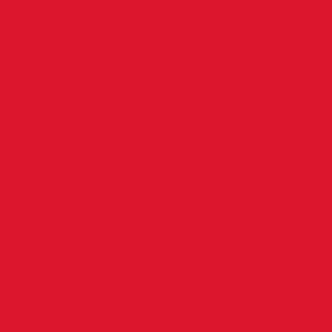 Superior Paper | Backdrop Paper Scarlet 2.75m