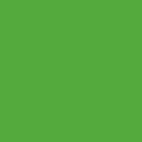 Superior Paper | Backdrop Paper Stinger 2.75m