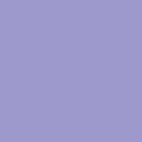 Superior Paper | Backdrop Paper Thistle 2.75m