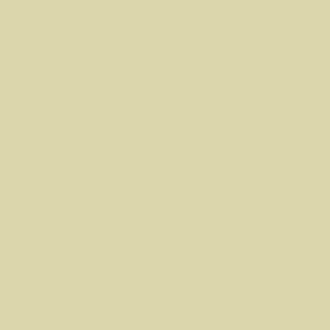 Superior Paper | Backdrop Paper Tropic Green 2.75m