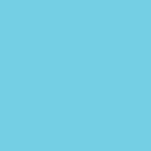 Superior Paper | Backdrop Paper Wedgewood 2.75m