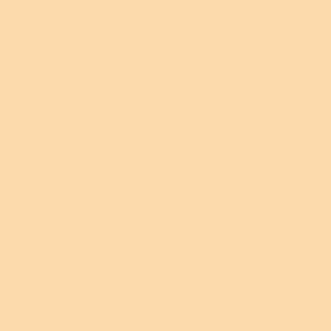 Superior Paper | Backdrop Paper Wheat 2.75m