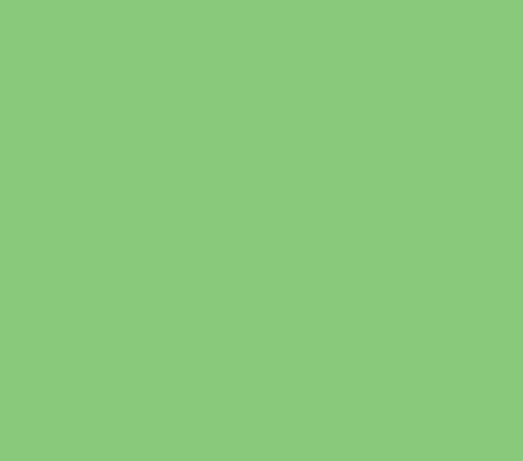 Superior Paper | Backdrop Paper Apple 2.75m
