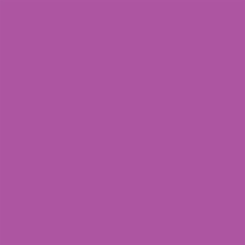 Superior Paper | Backdrop Paper Grape 2.75m