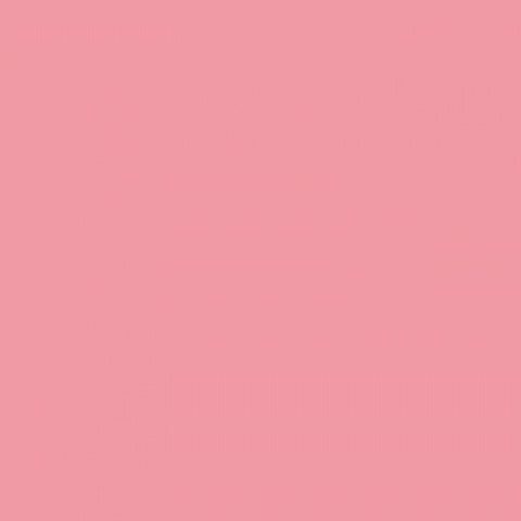 Superior Paper | Backdrop Paper Carnat Pink 2.75m