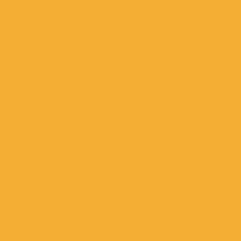 Superior Paper | Backdrop Paper Yellow/Orange 2.75m5m
